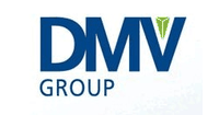 DMV GmbH & Co. KG