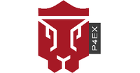 Passion 4 Experts GmbH