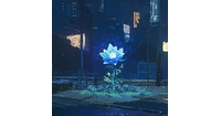 blueflower GmbH