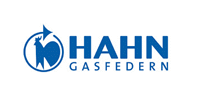 HAHN Gasfedern GmbH