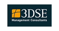 3DSE Management Consultants GmbH